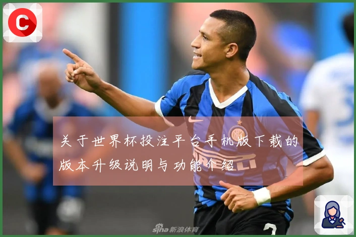 关于世界杯投注平台手机版下载的版本升级说明与功能介绍
