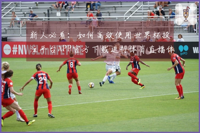 新人必看：如何高效使用世界杯投注平台APP官方下载进行体育直播体验