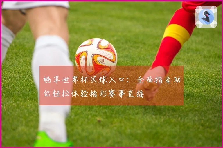 畅享世界杯买球入口：全面指南助你轻松体验精彩赛事直播