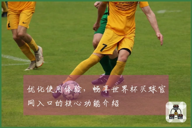 优化使用体验，畅享世界杯买球官网入口的核心功能介绍