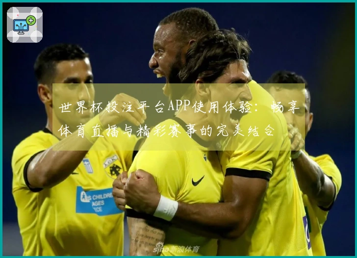 世界杯投注平台APP使用体验：畅享体育直播与精彩赛事的完美结合