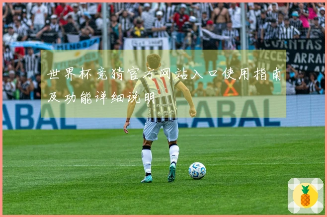 世界杯竞猜官方网站入口使用指南及功能详细说明