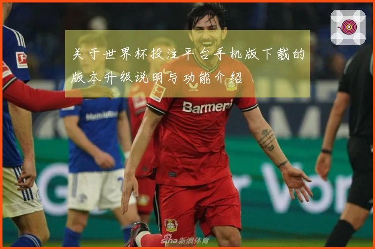 关于世界杯投注平台手机版下载的版本升级说明与功能介绍