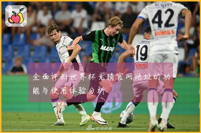 全面评测世界杯竞猜官网地址的功能与使用体验分析